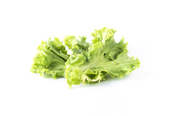 Salad leaf. Lettuce isolated on white background.
