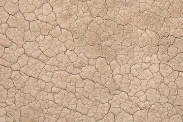 Cracked soil