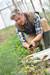 Fototapeta premium Farmer using loam to plant new seeds