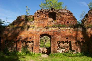 Ruine am Doberanaer Muenster