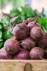 A bundle of Beta vulgaris, known as beetroot.beet on the market in Greece