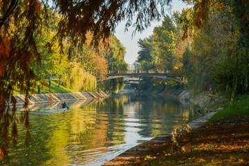 Fototapeta na wymiar Timisoara parks and Bega River in the autumn