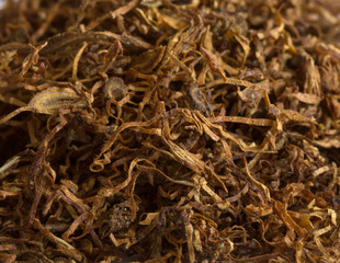 Close up Image of fine cut Cigarette Tobacco