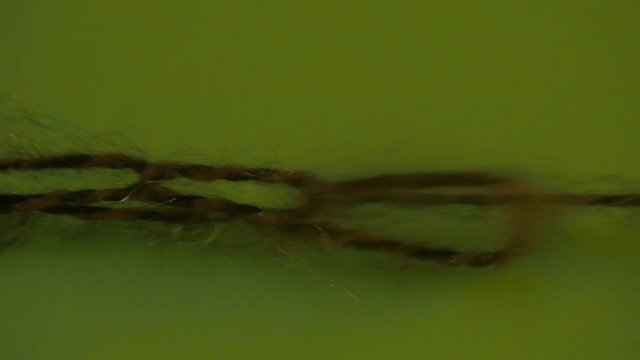 Someone Unknits the Yarn Chain on Green Screen Colorful Filament Fiber Clue Funiculus Threads of Wool is Moving Someone is Pulling the Thread's Ends