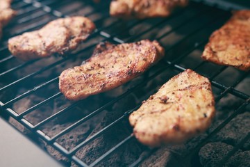 Grilled chicken on the gas grill on the garden, white background