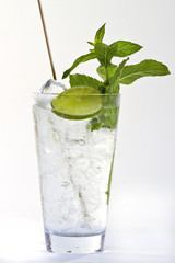 mojito cocktail on white background