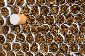 Heap of Tobacco Cigarettes Front View close up
