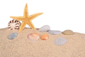 Fototapeta na wymiar Starfish and seashells in a beach sand on a white
