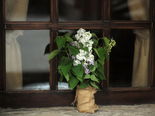 Lilac in vase near window