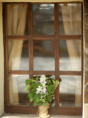 Lilac in vase near window