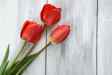 Row of tulips on wooden background