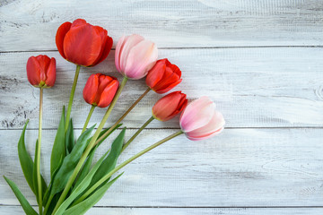 Row of tulips on wooden background