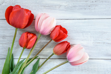 Row of tulips on wooden background