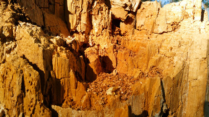 Wooden pattern texture