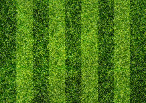 Soccer field texture