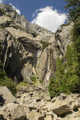 Fototapeta na wymiar Yosemite national park