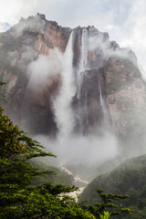 Angel Falls (Salto Angel), the highest waterfall in the world (978 m), Venezuela. Covered in clouds during the rainy season.