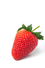 strawberry on white background