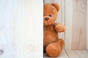 bear doll behind the wall 