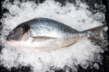 Fresh crude fish with a lemon for preparation 