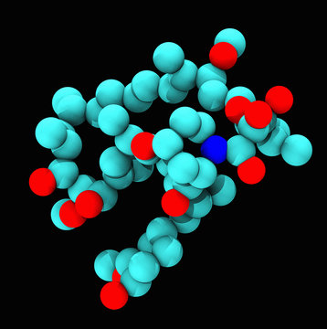 Computer generated molecular model of Sirolimus, also known as rapamycin