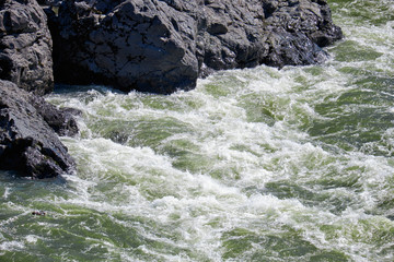 Teldykpen rapids on Altai river Katun near Oroktoi, Russia