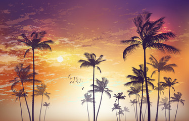 Fototapeta na wymiar Exotic tropical palm tree landscape at sunset or moonlight, with cloudy sky. Highly detailed and editable