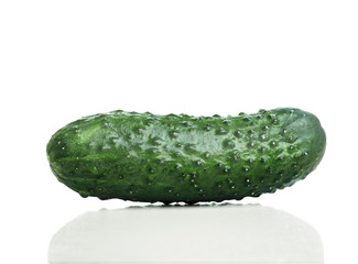 Cucumber isolated on white