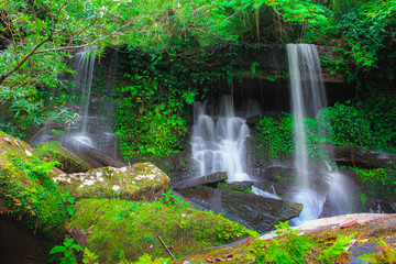 Fototapeta premium Waterfall in Phuhinrongkla National Park, Phitsalulok province, Thailand