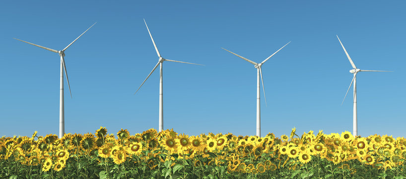 Windkraftanlagen und Sonnenblumen