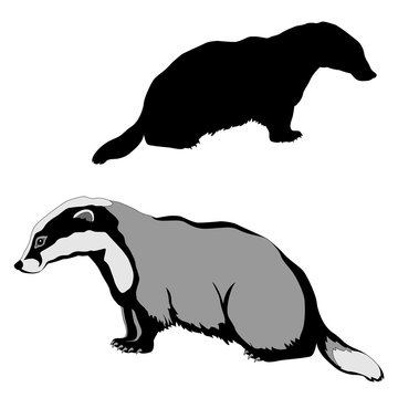 animal badger black silhouette realistic