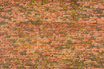old red-orange brick wall, background texture 14