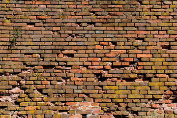 old red-orange brick wall, background, texture 28
