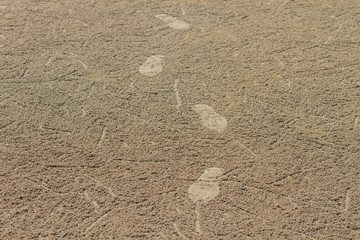 Footprint on sand beach