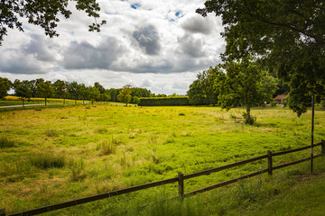 Countryside pasture field