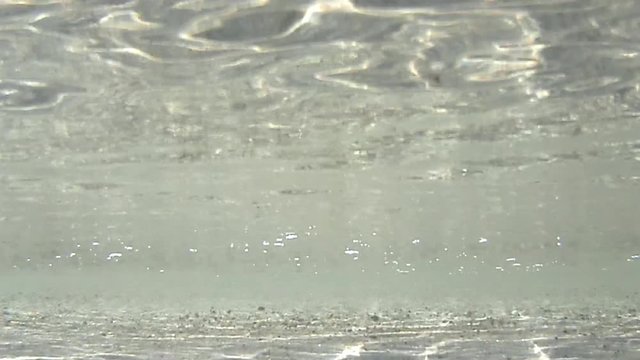 Unterwasseraufnahme im seichten Wasser der Ostsee
