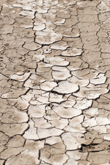 cracked earth as a background. texture