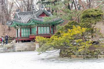 Fototapeta premium ice surface of the frozen on Buyeongji pond at the Huwon park or