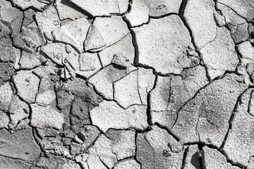 cracked earth as a background. texture