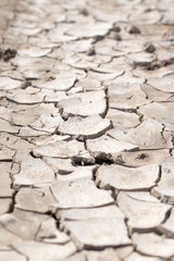 cracked earth as a background. texture