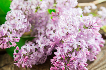 Flowers lilac, spring background