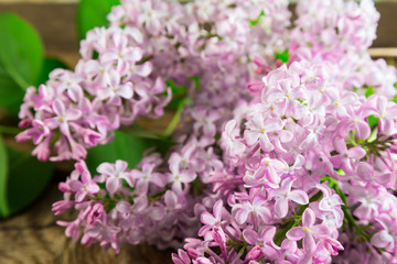 Flowers lilac, spring background