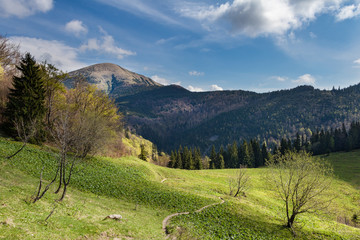 Fototapeta na wymiar Amazing spring mountain landscape with blue sky