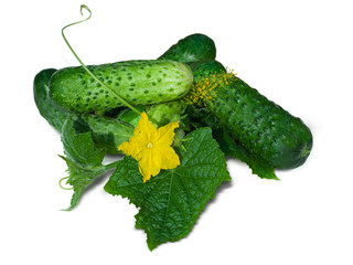 fresh cucumbers with leaves isolated on white