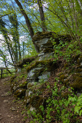 Fototapeta na wymiar Felsformation auf dem Wanderweg bei Pappenheim
