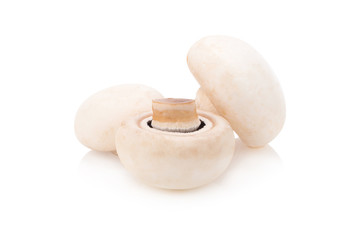 Champignon Isolated on White Background
