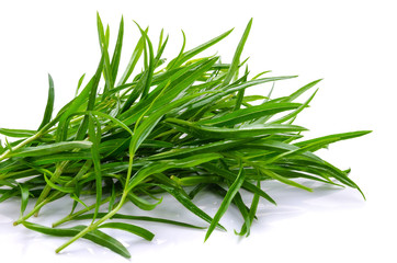 Tarragon herbs close up isolated on white
