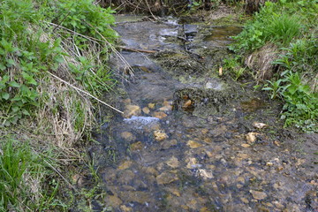Ручей бежит