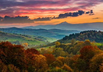 autumn forest on a  mountain hill at sunset