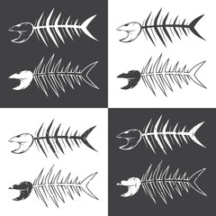 vector set design template of fishes skeletons